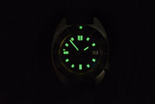 Load image into Gallery viewer, Rdunae Vintage Turtle 6105-8000 - WR Watches PLT
