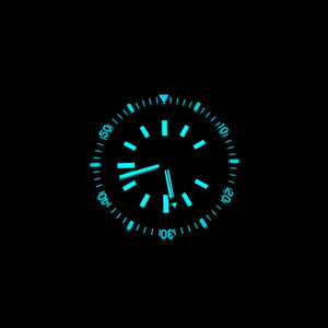 Hruodland Retro Diver