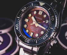 Load image into Gallery viewer, Proxima MM300 Brown PT5000