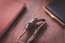 Load image into Gallery viewer, Proxima MM300 Spider Tapisserie Dial