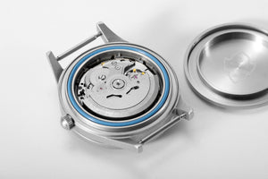 Rdunae R6 Legendary Diver | WR Watches