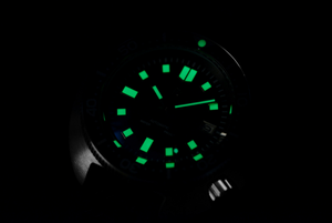 Rdunae R2X Turtle 6105-8110 | WR Watches