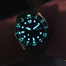 Load image into Gallery viewer, Luminous Day Date Disc - WR Watches PLT