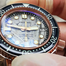 Load image into Gallery viewer, Proxima Meteorite Bronze MM300 - WR Watches PLT